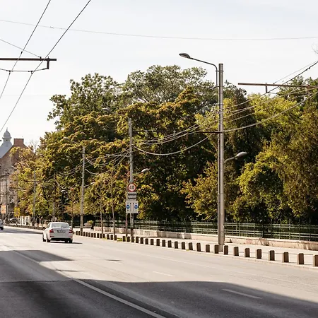 La Boheme - Old Town Vintage